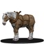 Draft Horse